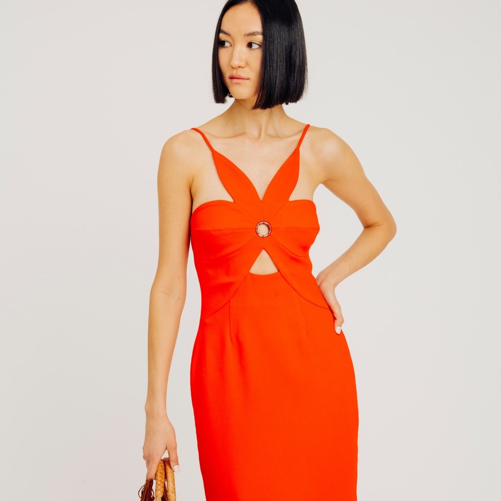 NWT Torn by Ronny Kobo Anna Dress S